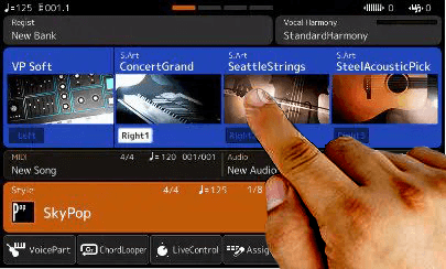 Touch Screen on PSR SX-900